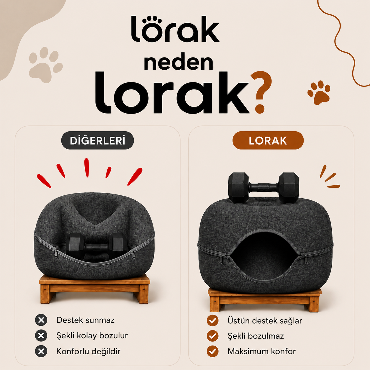 Lorak Kedi Mağarası